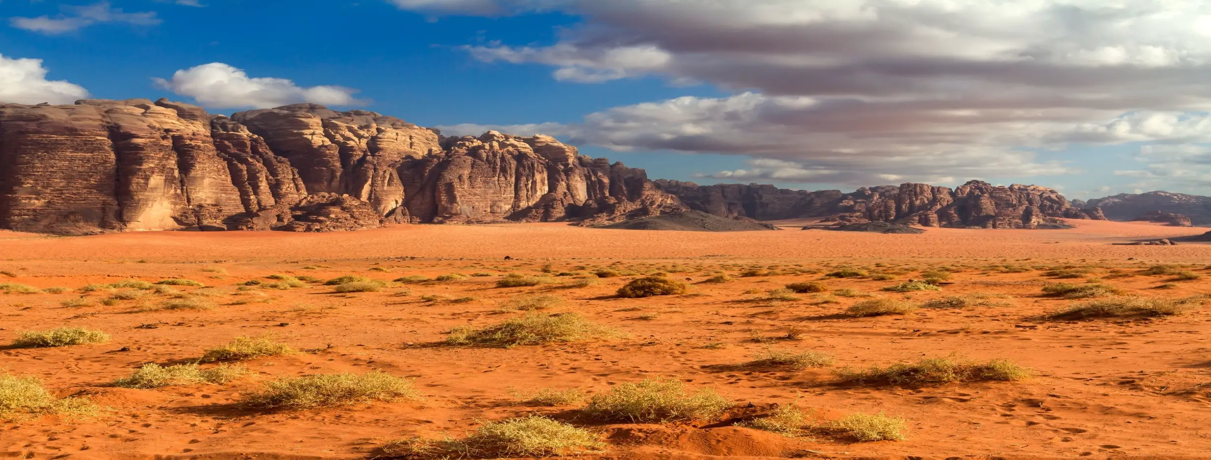 Image for Desert Landscapes
